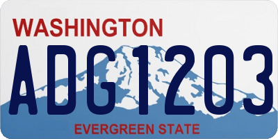 WA license plate ADG1203