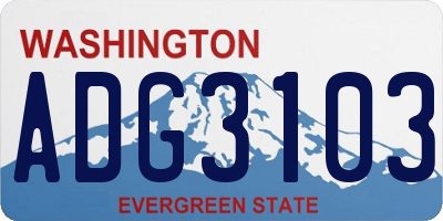 WA license plate ADG3103