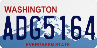 WA license plate ADG5164
