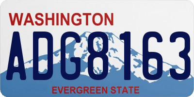 WA license plate ADG8163