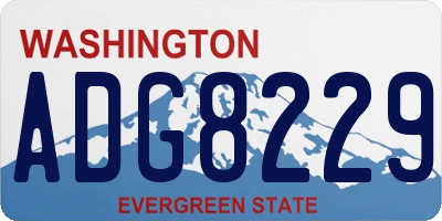 WA license plate ADG8229