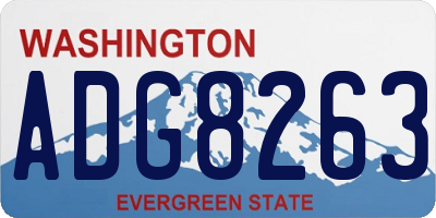 WA license plate ADG8263