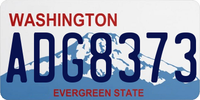 WA license plate ADG8373