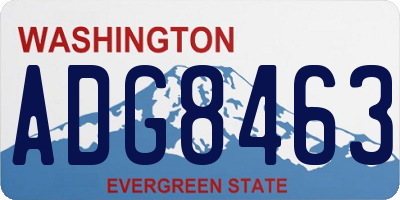 WA license plate ADG8463