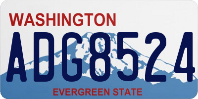 WA license plate ADG8524