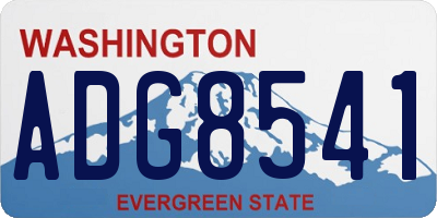 WA license plate ADG8541