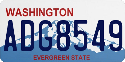 WA license plate ADG8549