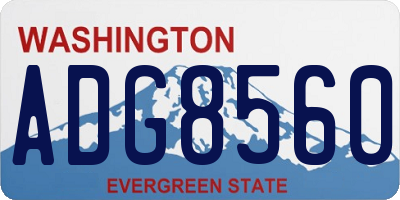 WA license plate ADG8560
