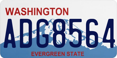 WA license plate ADG8564