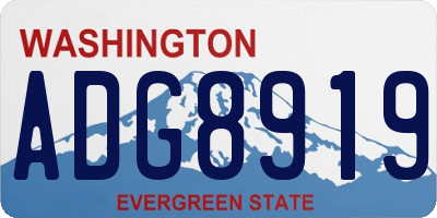 WA license plate ADG8919