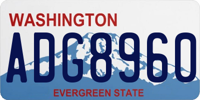 WA license plate ADG8960
