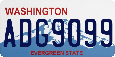 WA license plate ADG9099
