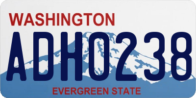 WA license plate ADH0238
