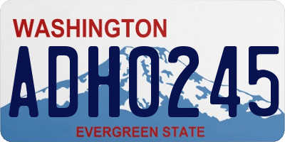 WA license plate ADH0245