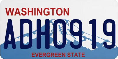WA license plate ADH0919