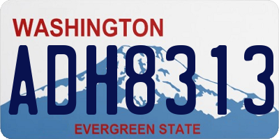 WA license plate ADH8313
