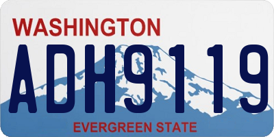WA license plate ADH9119