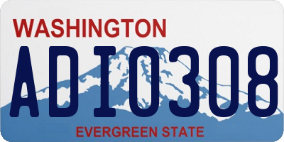 WA license plate ADI0308