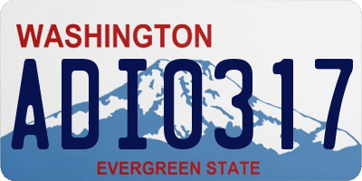 WA license plate ADI0317
