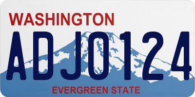 WA license plate ADJ0124