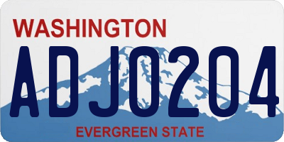 WA license plate ADJ0204