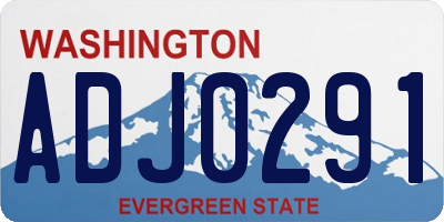 WA license plate ADJ0291