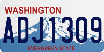WA license plate ADJ1309
