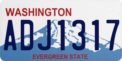 WA license plate ADJ1317