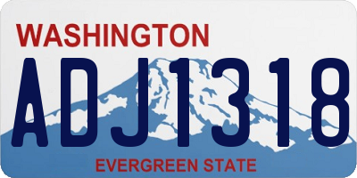 WA license plate ADJ1318