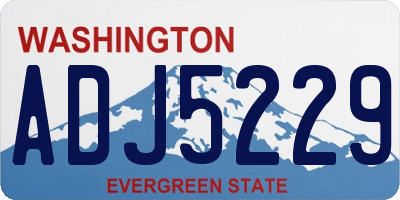WA license plate ADJ5229