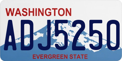 WA license plate ADJ5250