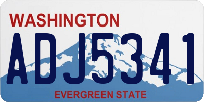 WA license plate ADJ5341
