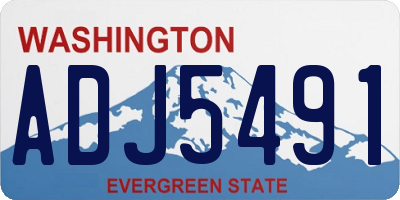 WA license plate ADJ5491