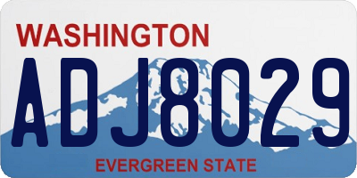 WA license plate ADJ8029