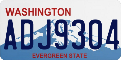 WA license plate ADJ9304