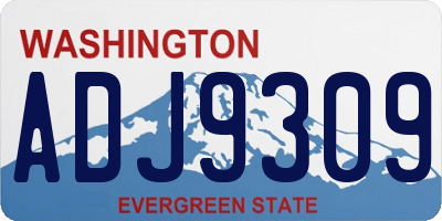 WA license plate ADJ9309