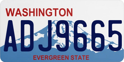 WA license plate ADJ9665