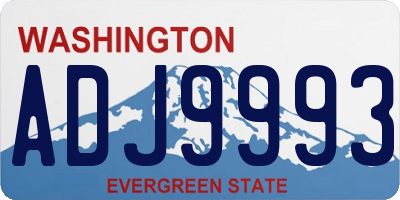 WA license plate ADJ9993