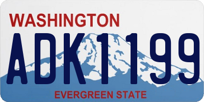 WA license plate ADK1199