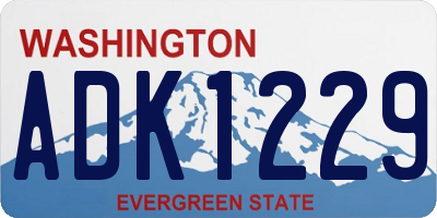 WA license plate ADK1229