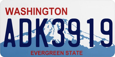 WA license plate ADK3919