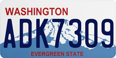 WA license plate ADK7309
