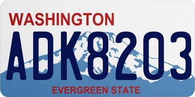 WA license plate ADK8203