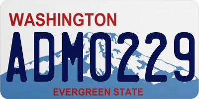 WA license plate ADM0229