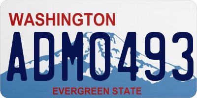 WA license plate ADM0493