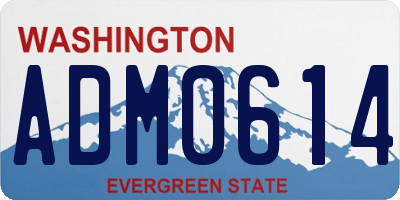 WA license plate ADM0614