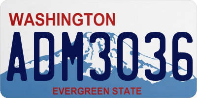 WA license plate ADM3036