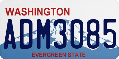 WA license plate ADM3085