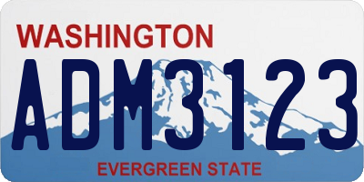 WA license plate ADM3123
