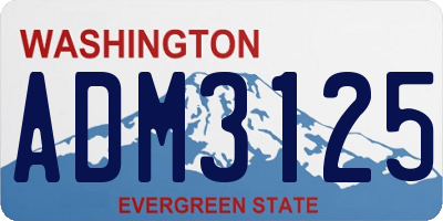 WA license plate ADM3125